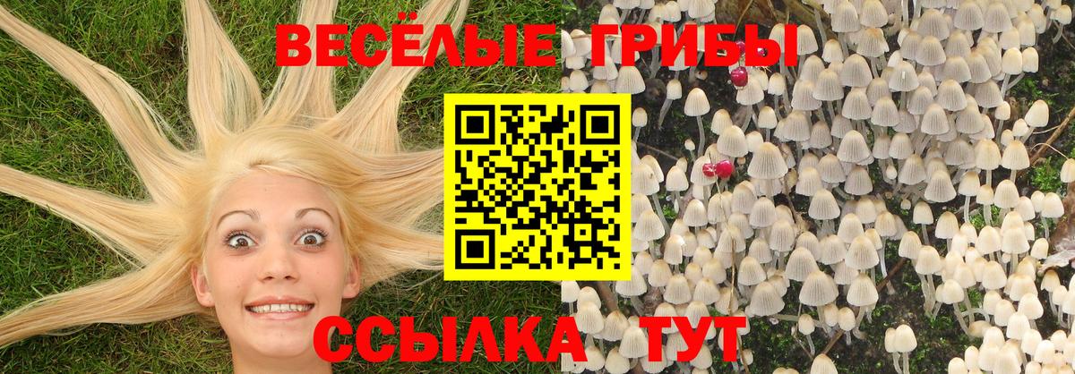 купить наркоту  Вход с VPN  Ишимбай  Псилоцибиновые грибы ЛСД 